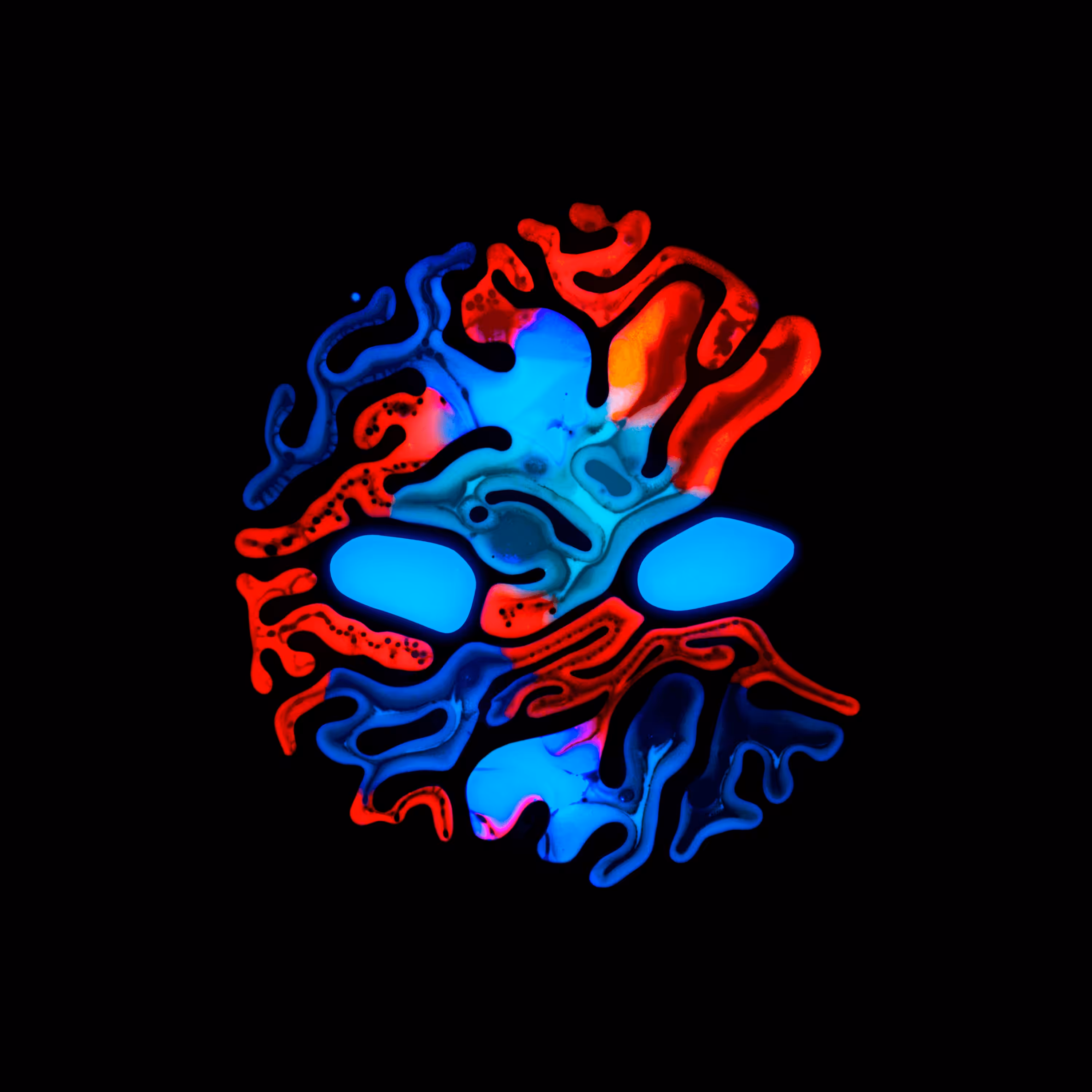 Haematopoiesis #191