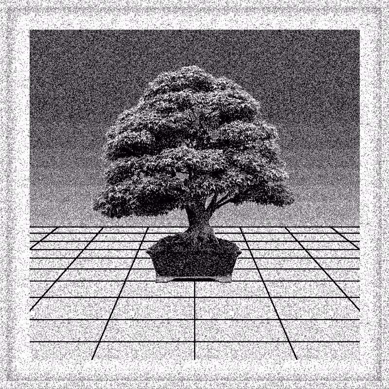 Bonsai Bonanza #200