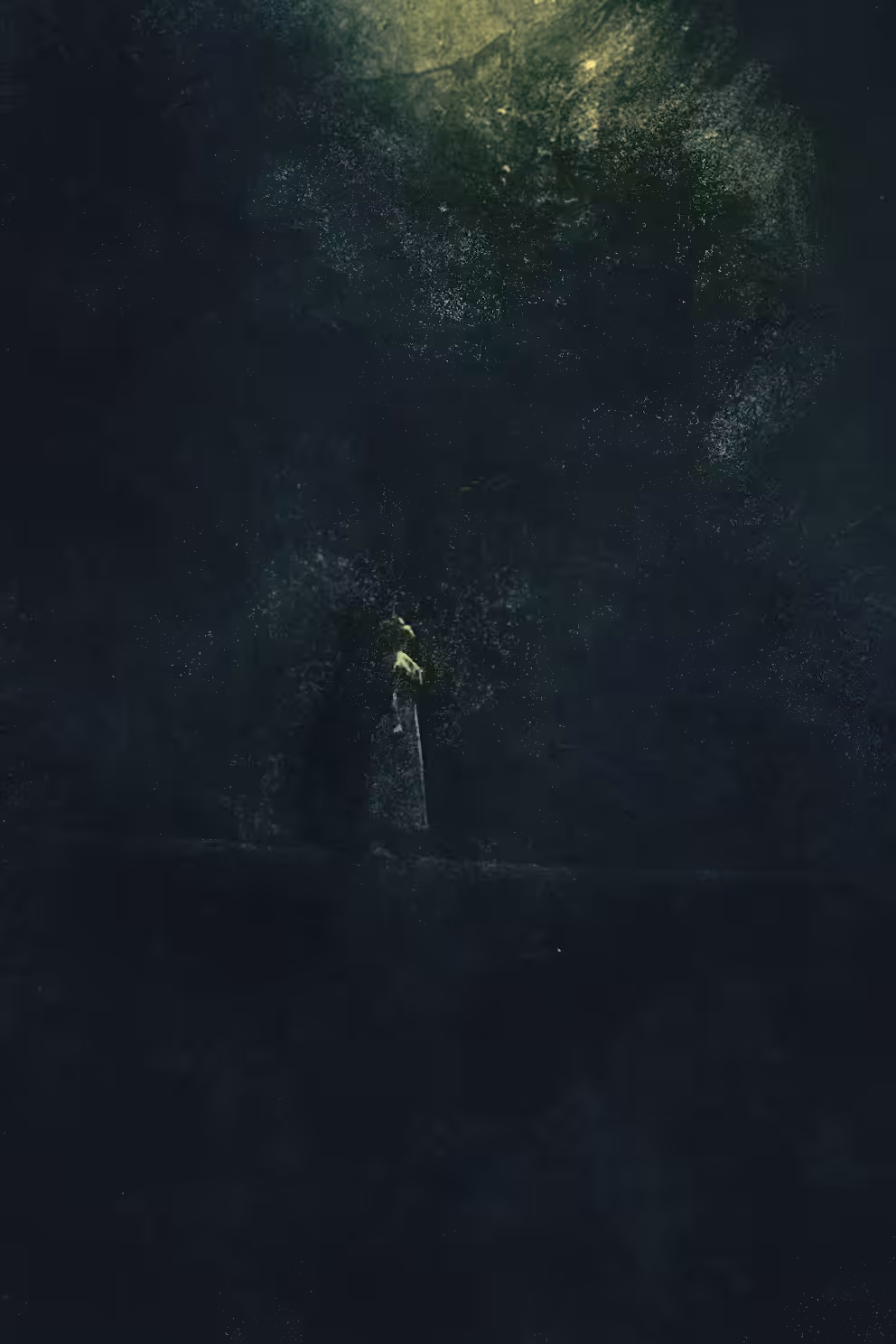 Illuminator