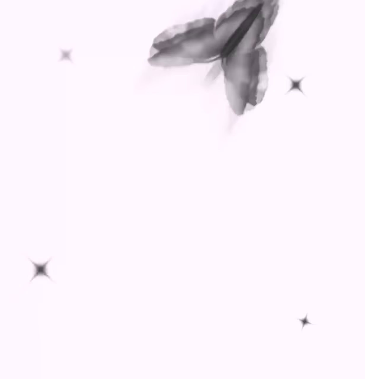 Butterfly Motion 
