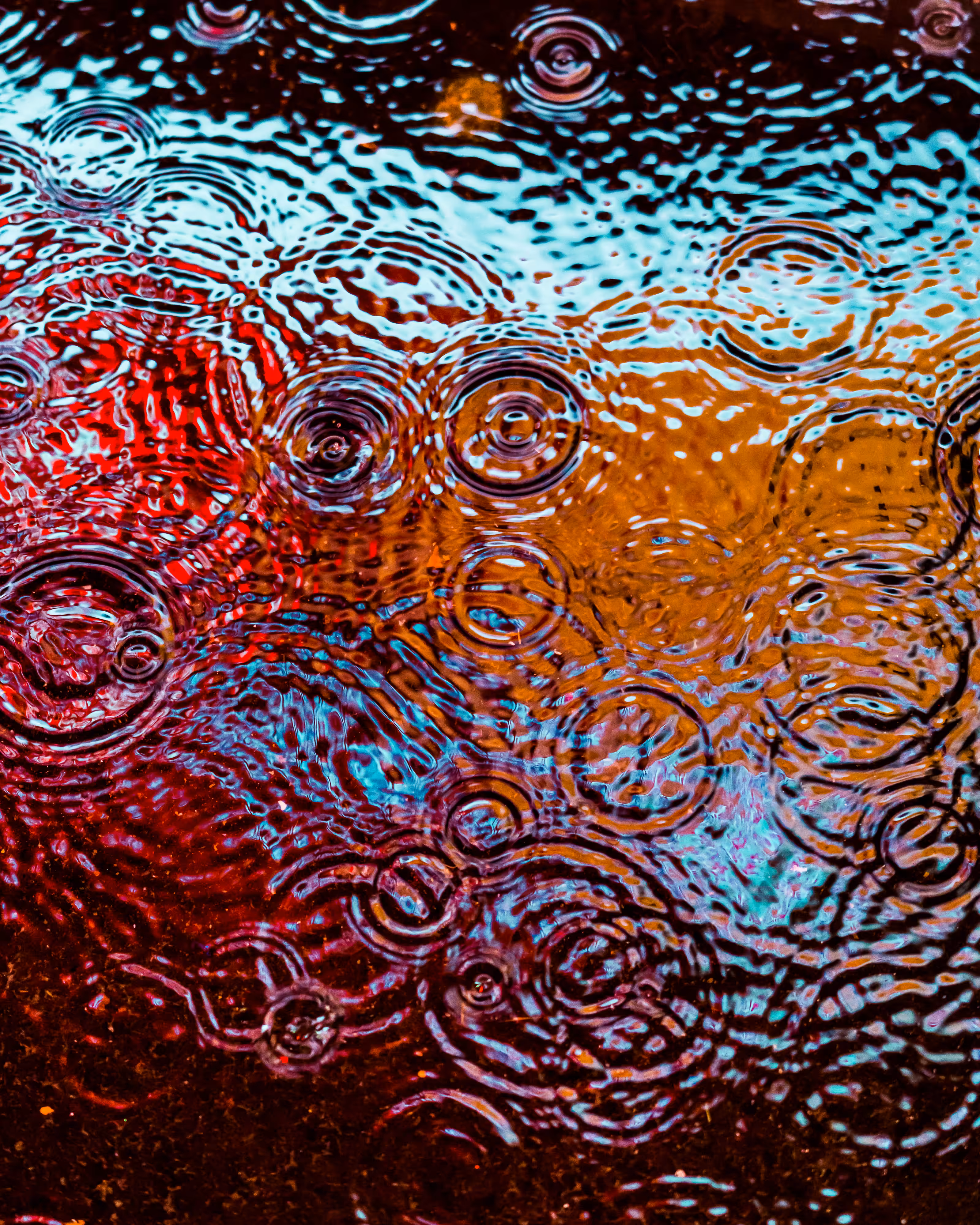 DRIP DROP: DRIP #69
