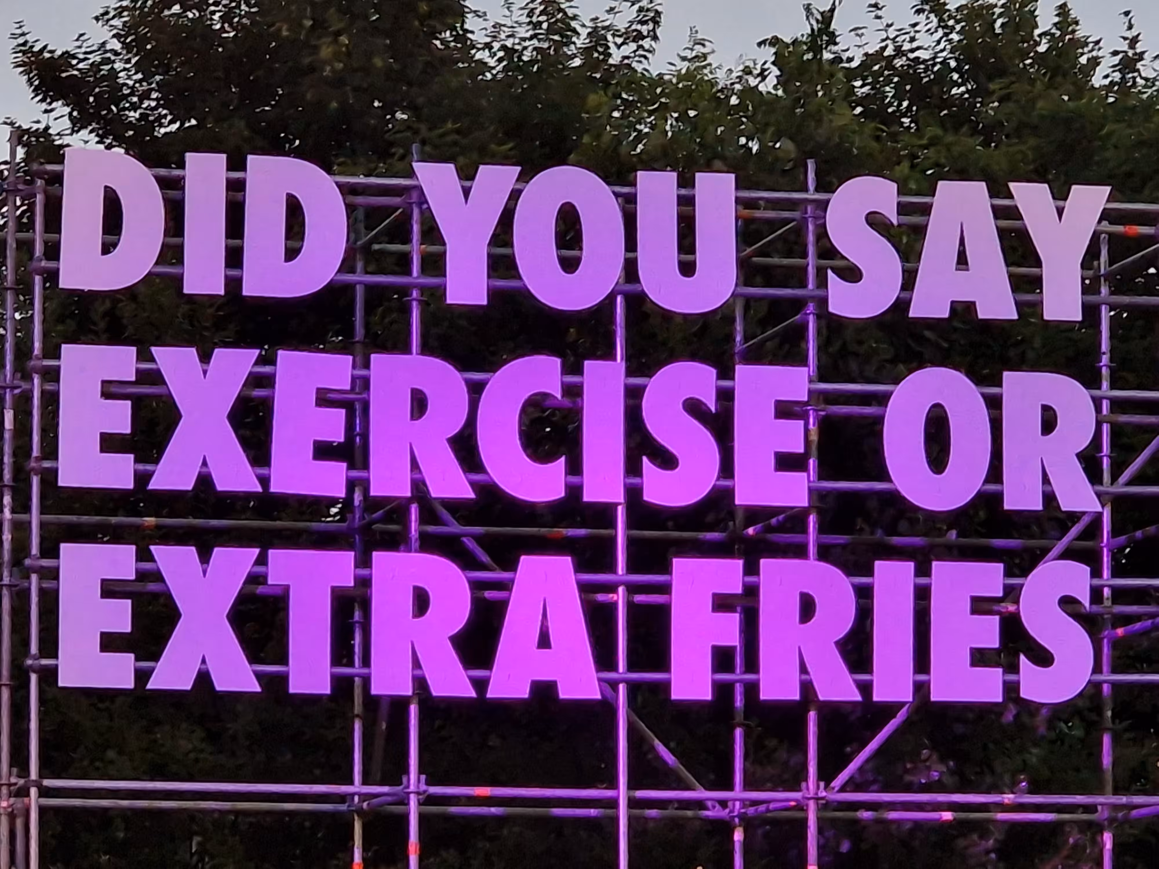 Fries