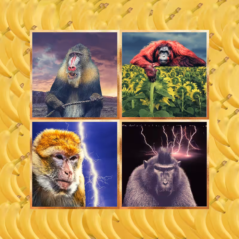 Banana legends #21
