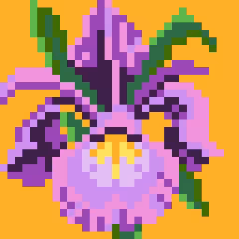 Orchid