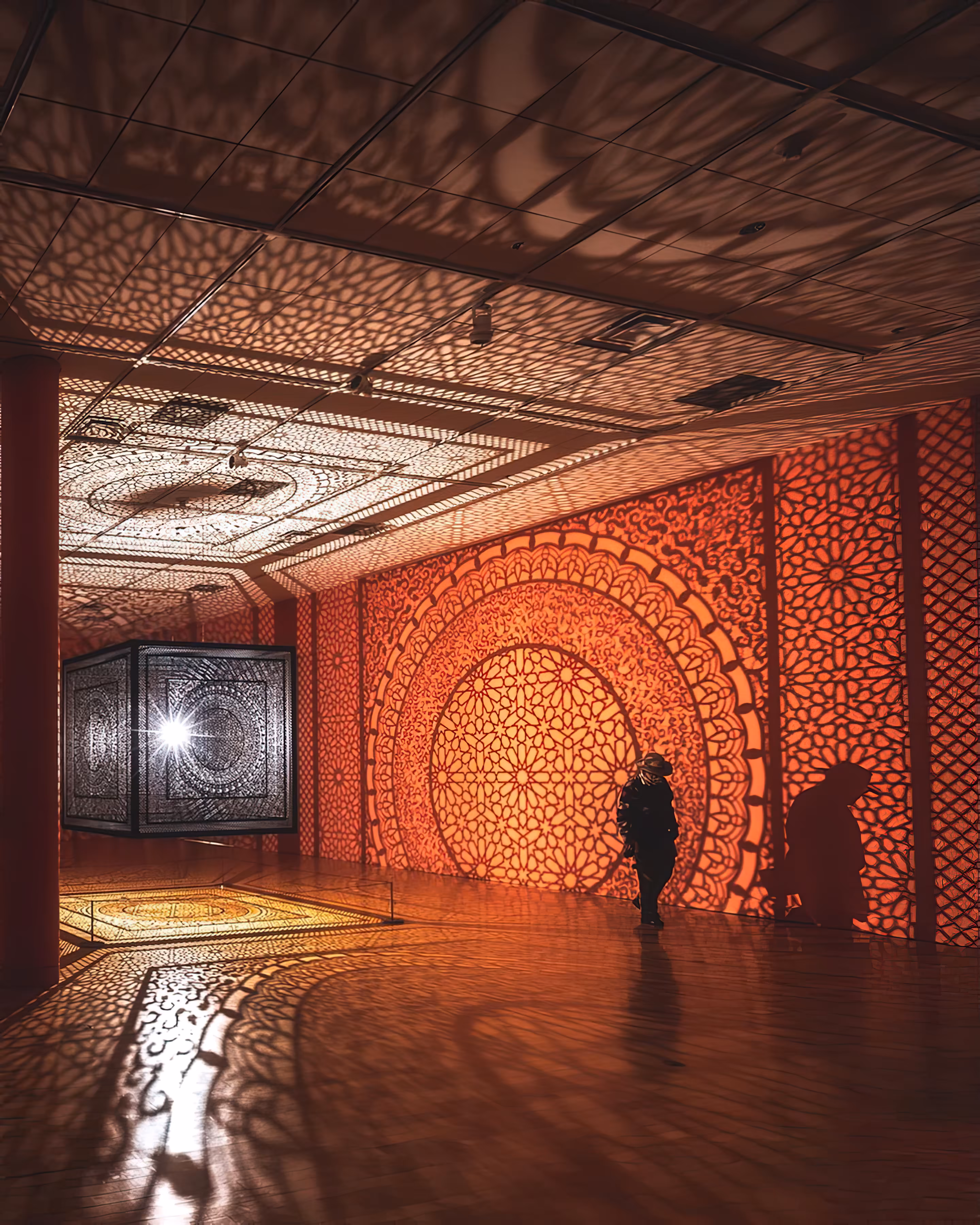 Anila Quayyum Agha