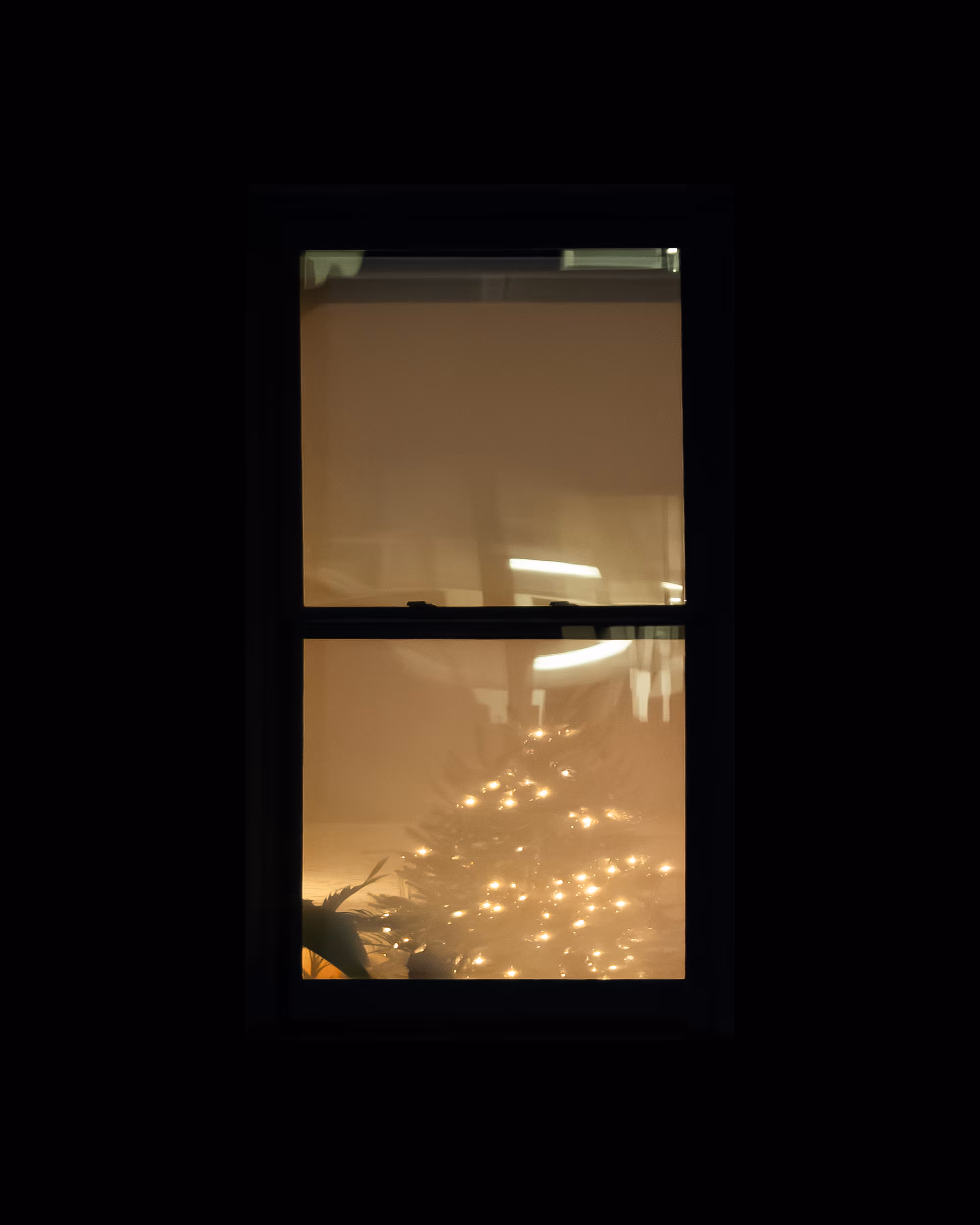 WINDOW 598