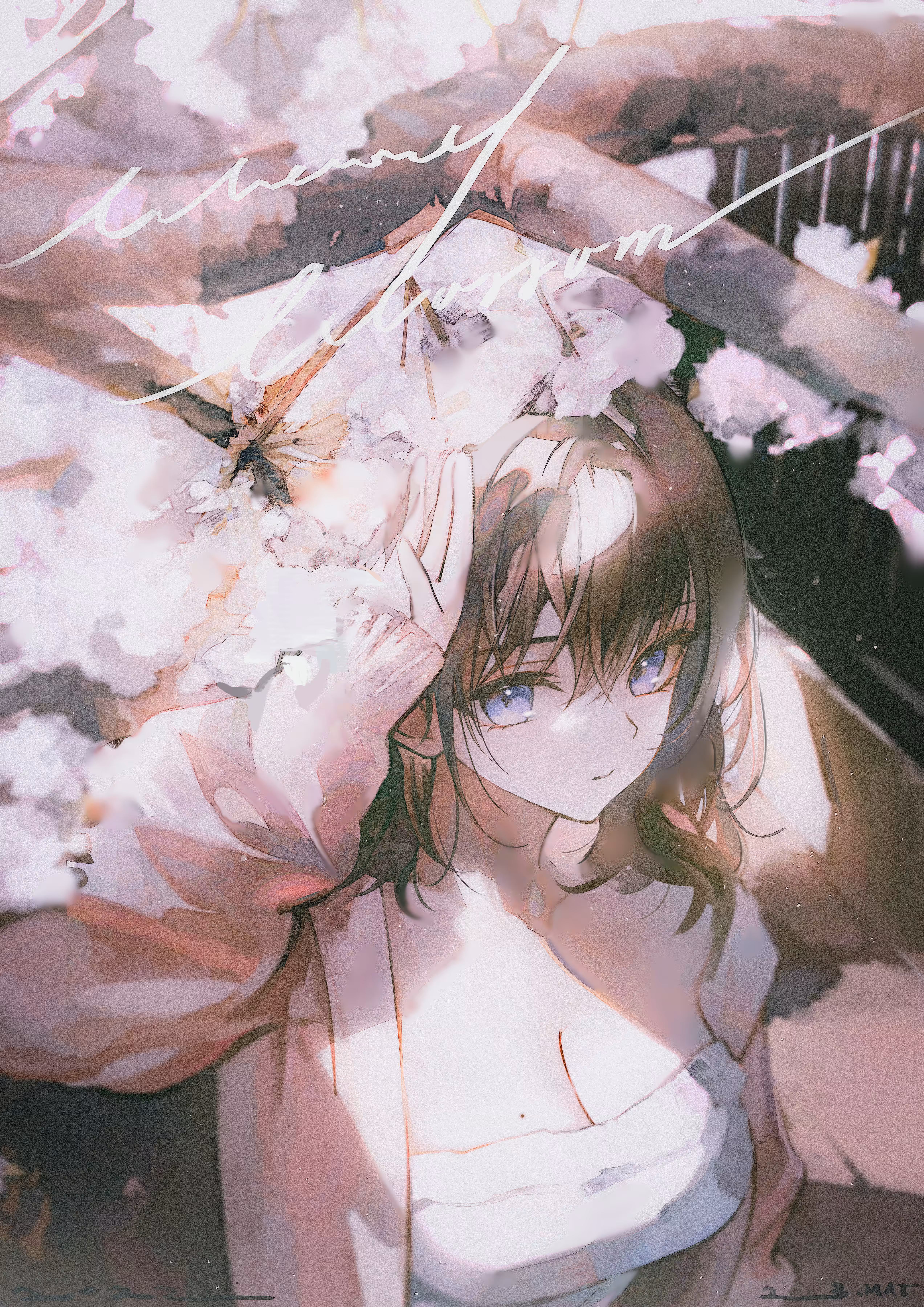 Cherry Blossoms