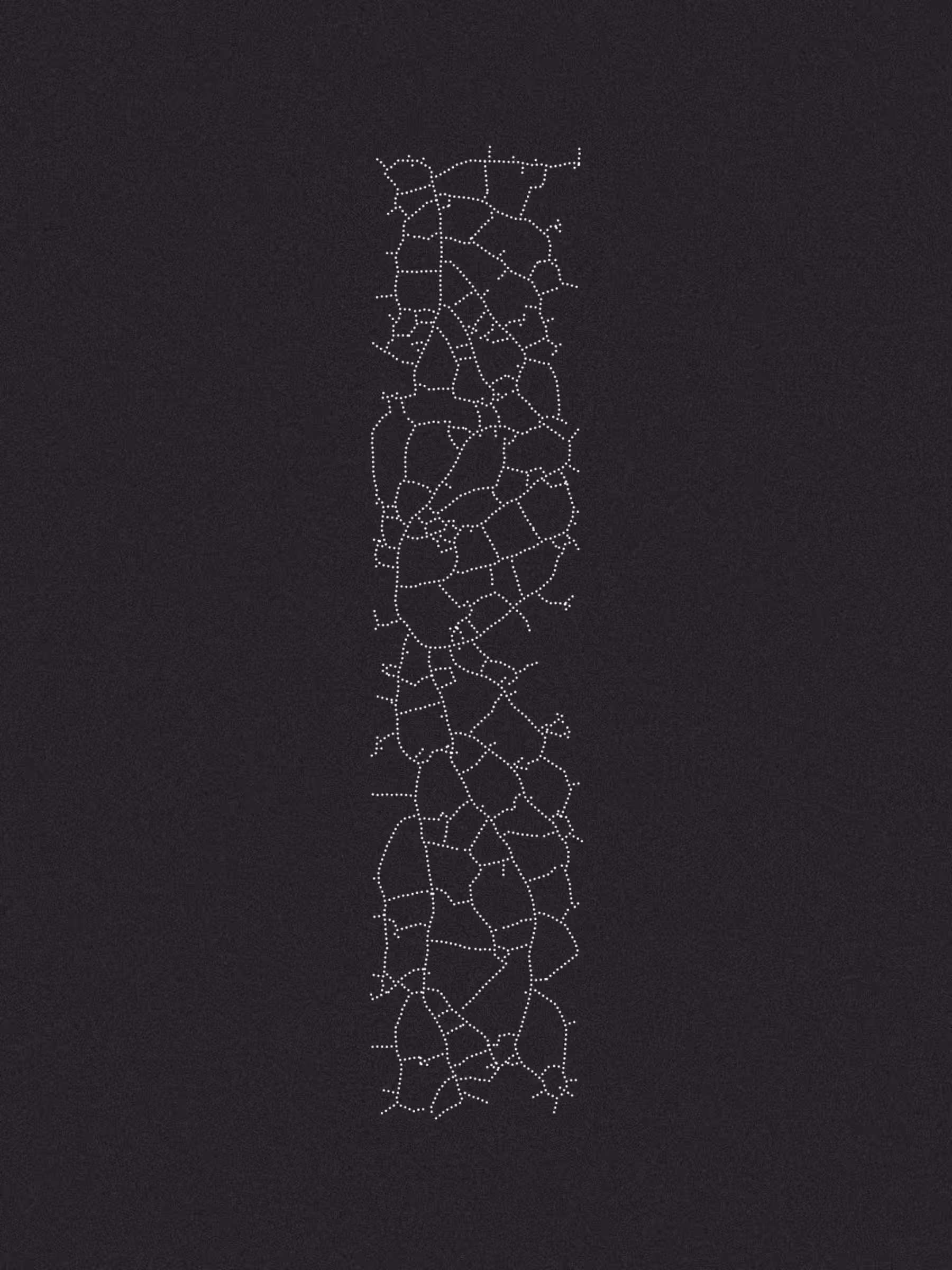 Symbiotrix