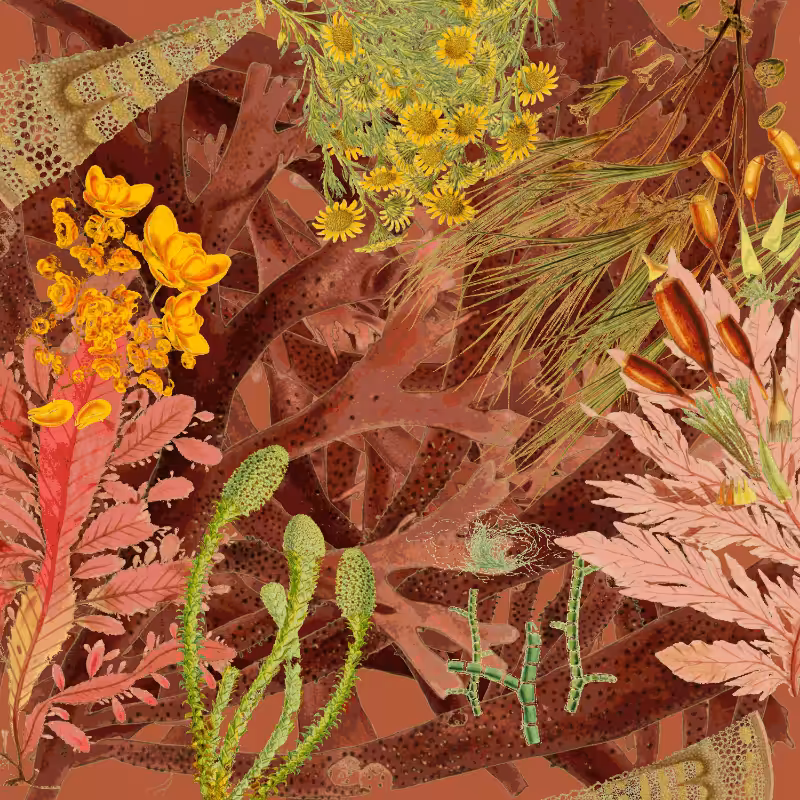 future flora from Antarctica's past #38