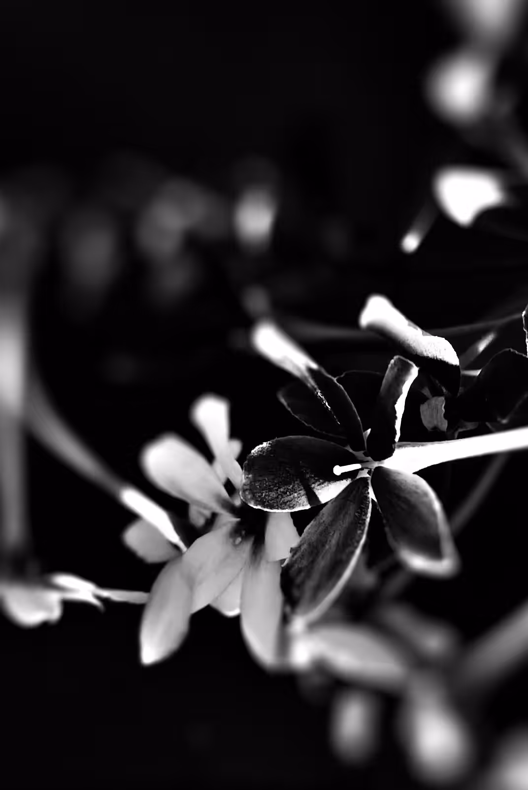 The mood_5