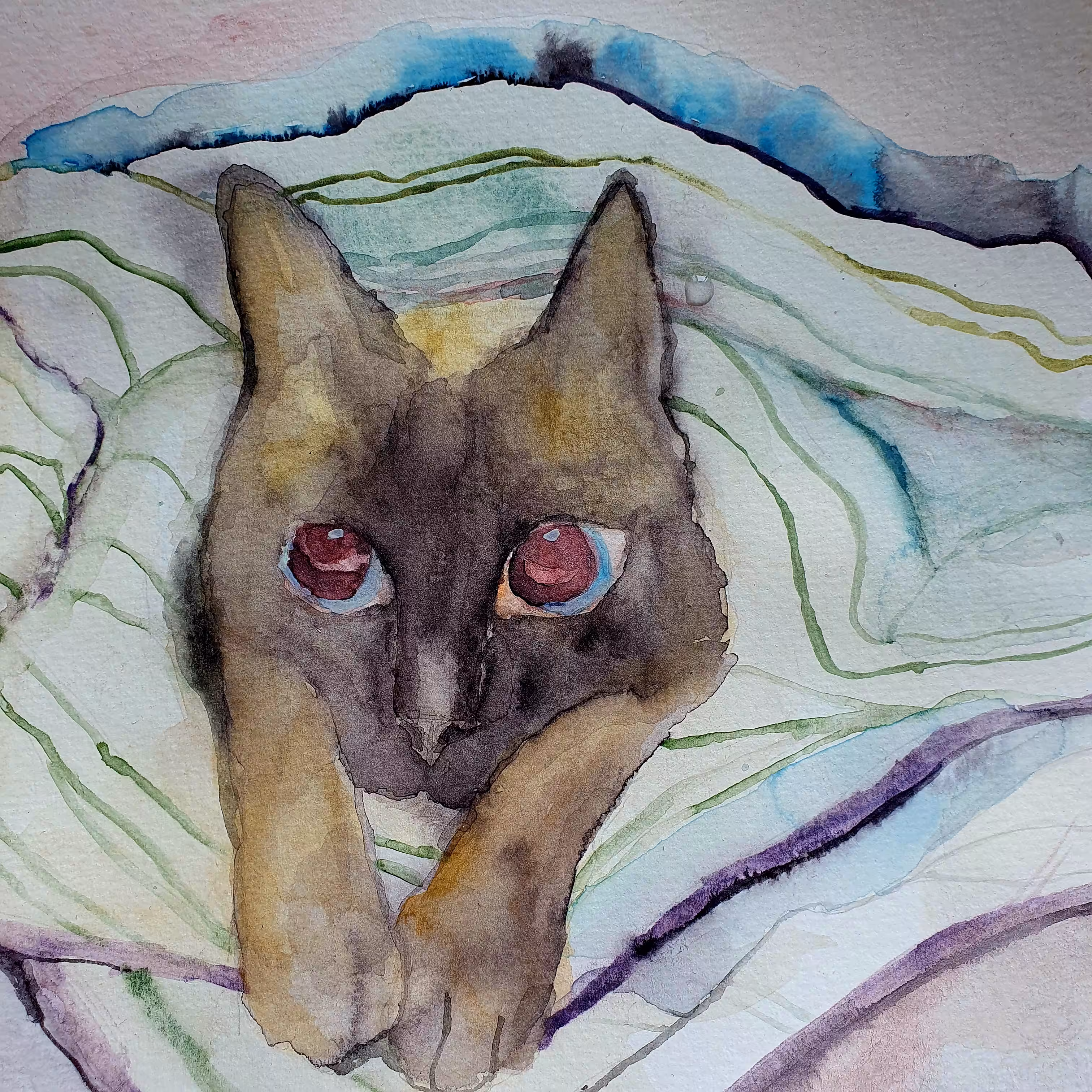 Cozy cat