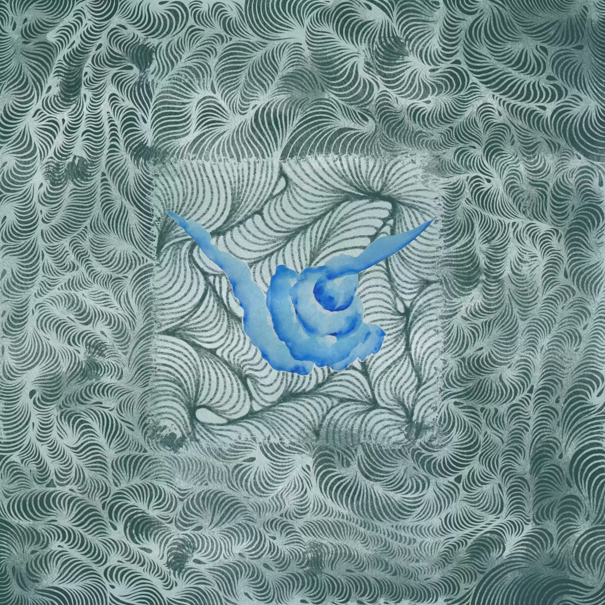 Dreams Afloat