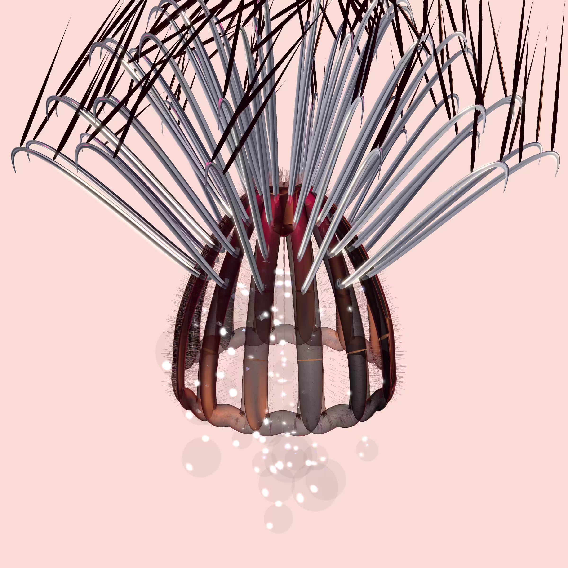 Lycorises #8