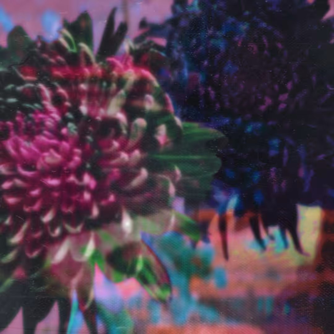 Maison Des Fleurs
