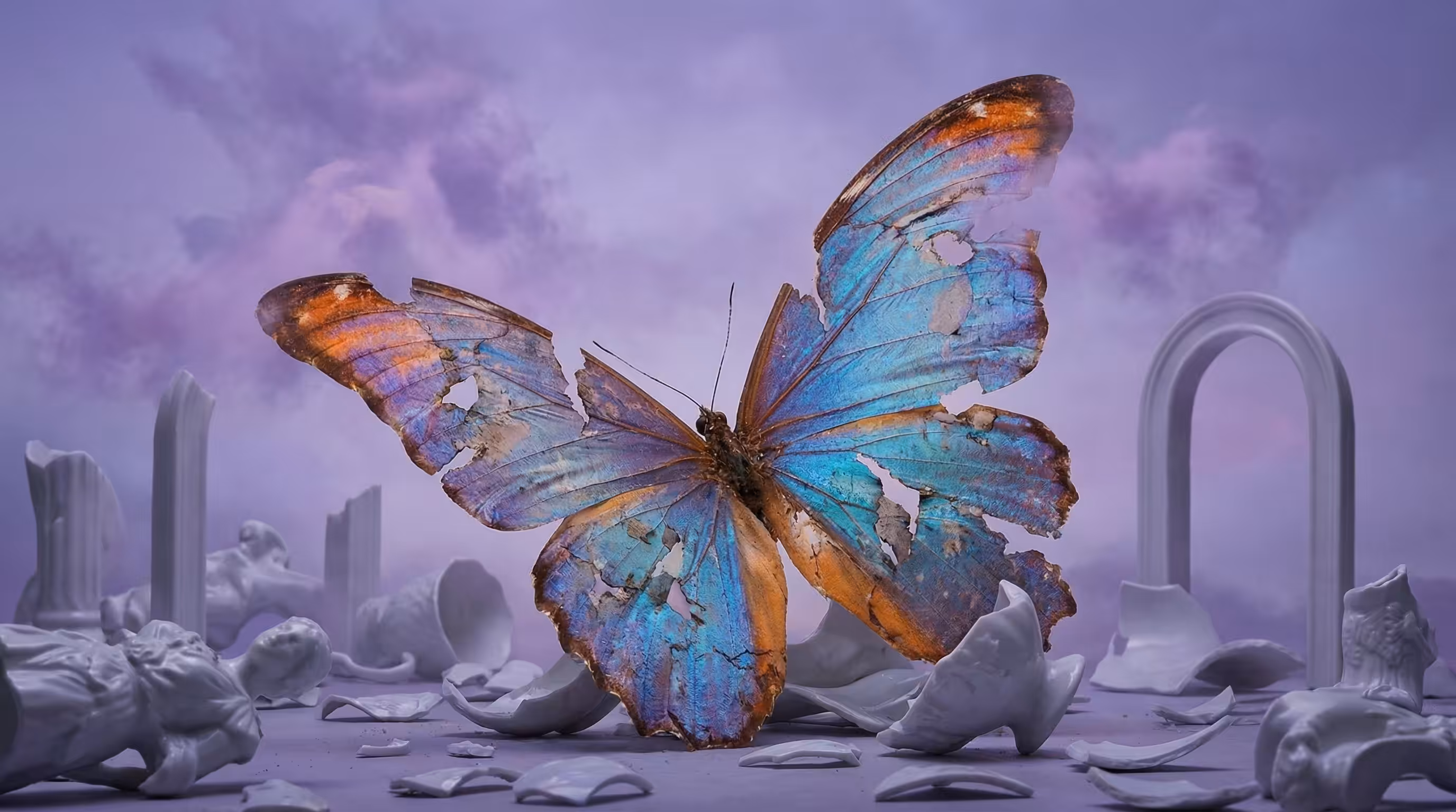 The Magnificent Butterfly 