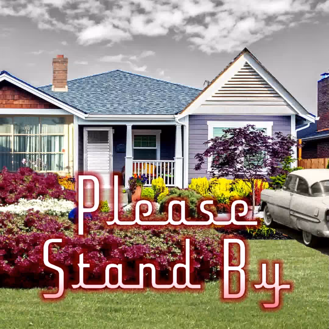 A Journey Through Time in The American Suburbs