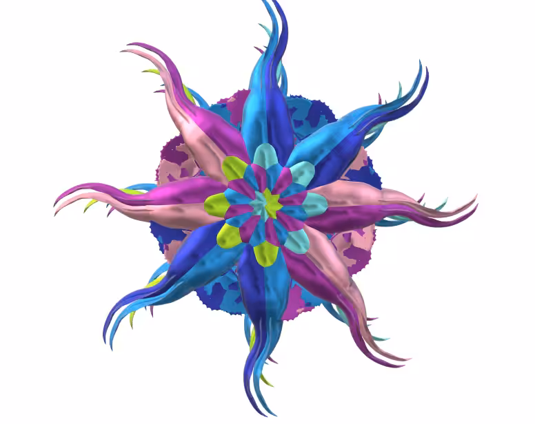 JellyFish