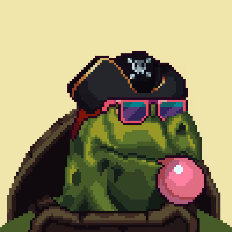 Turtles #5