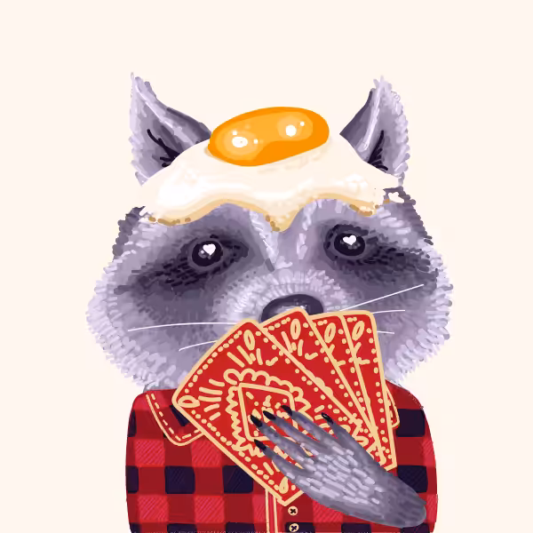 Cool Raccoon Collection #48