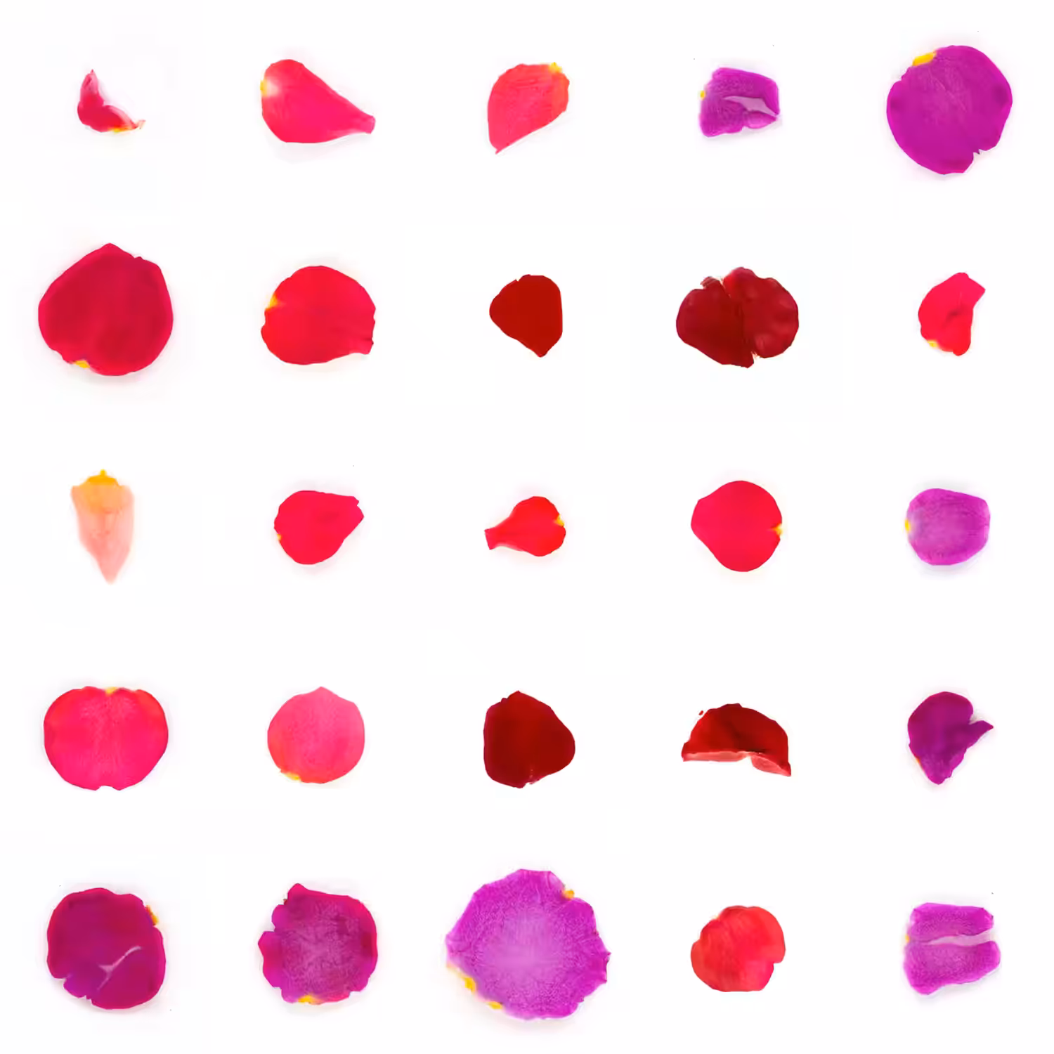 Infinite Petals 5x5#20429