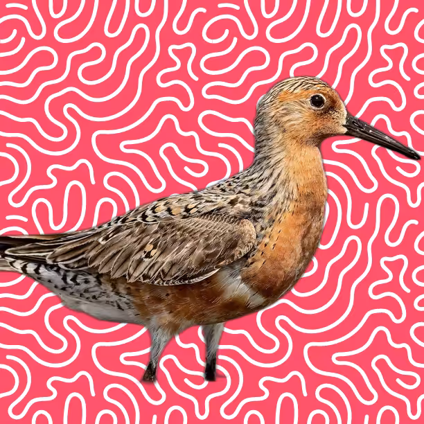 #98