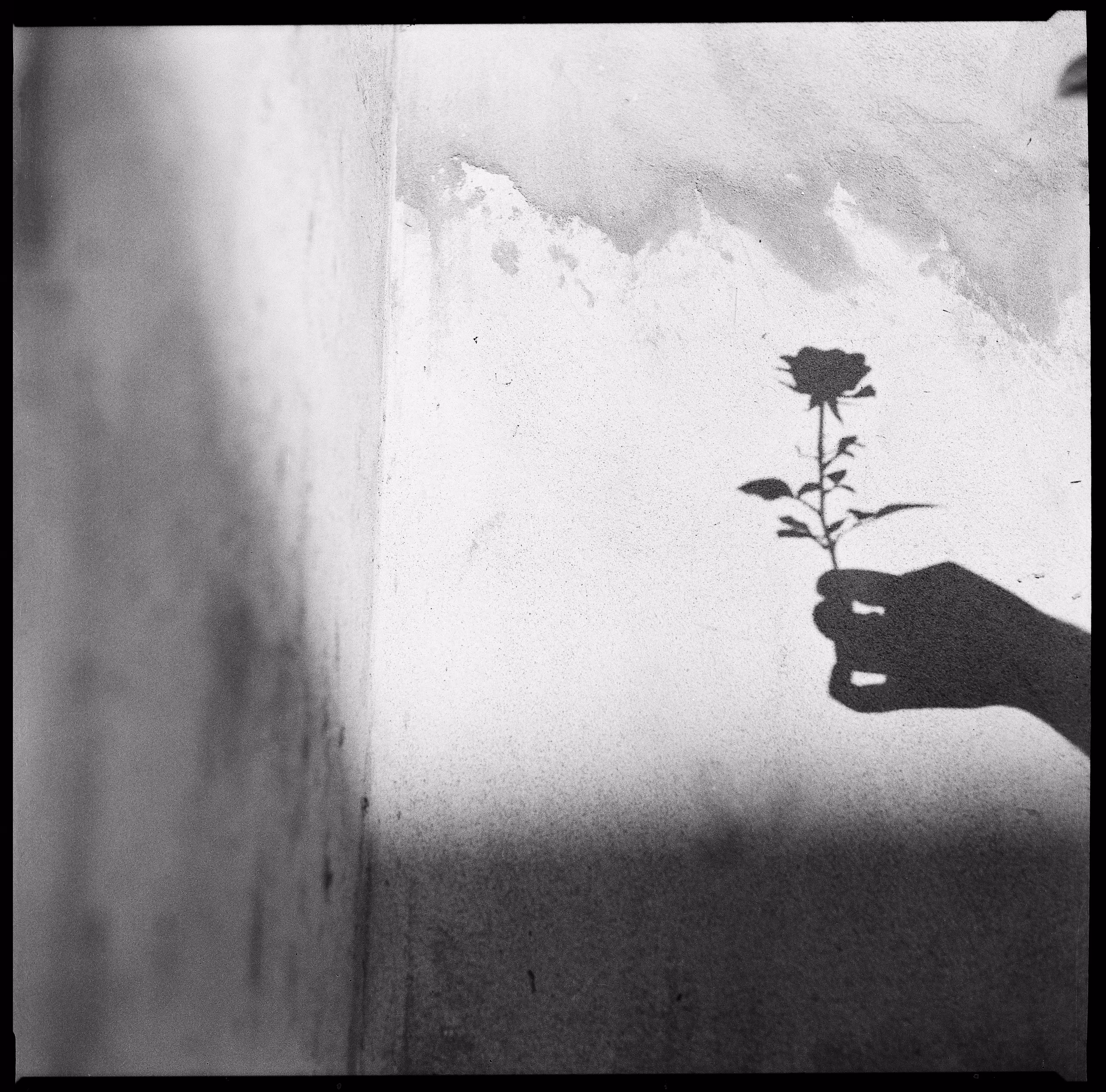 bud of emptiness