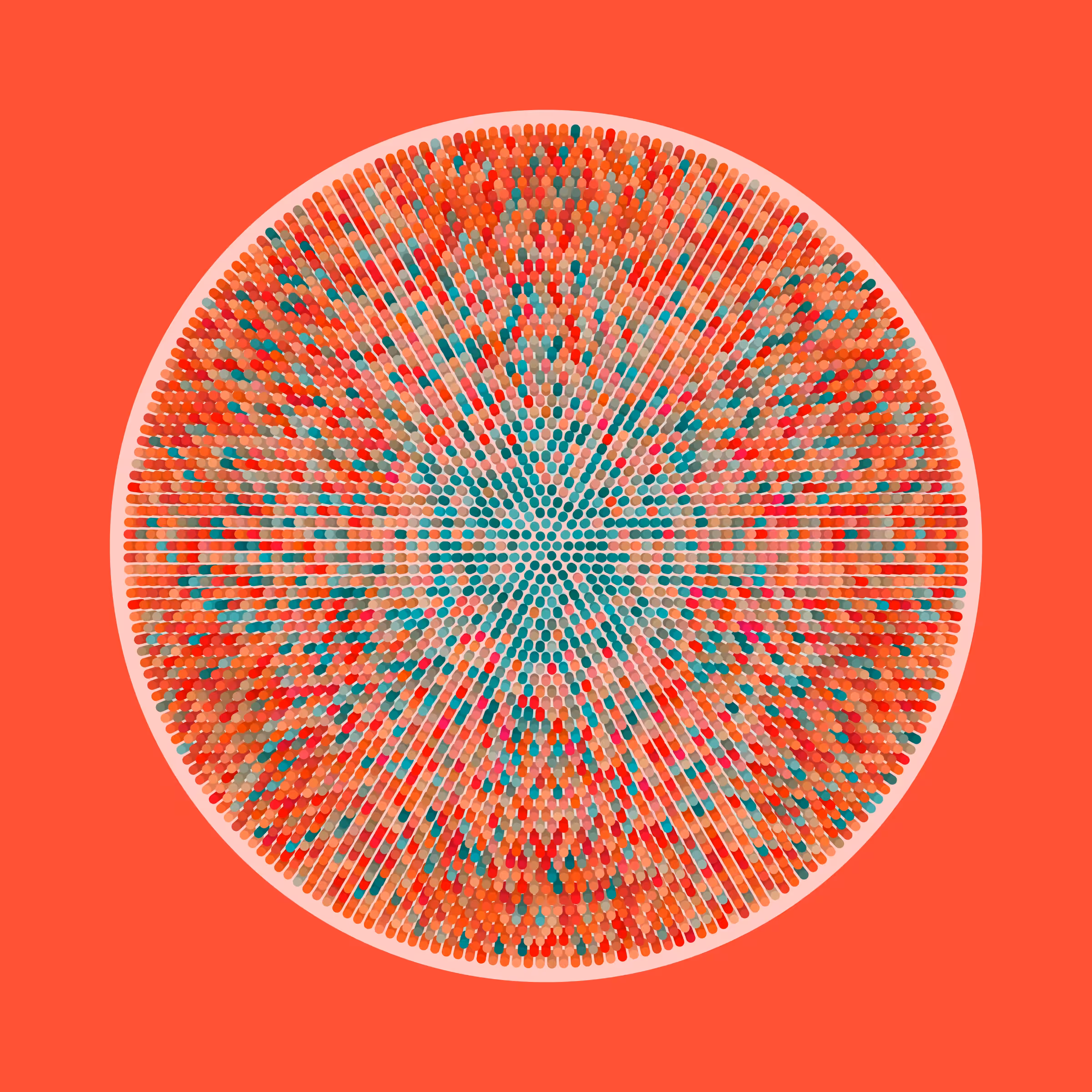 Transitions #2654