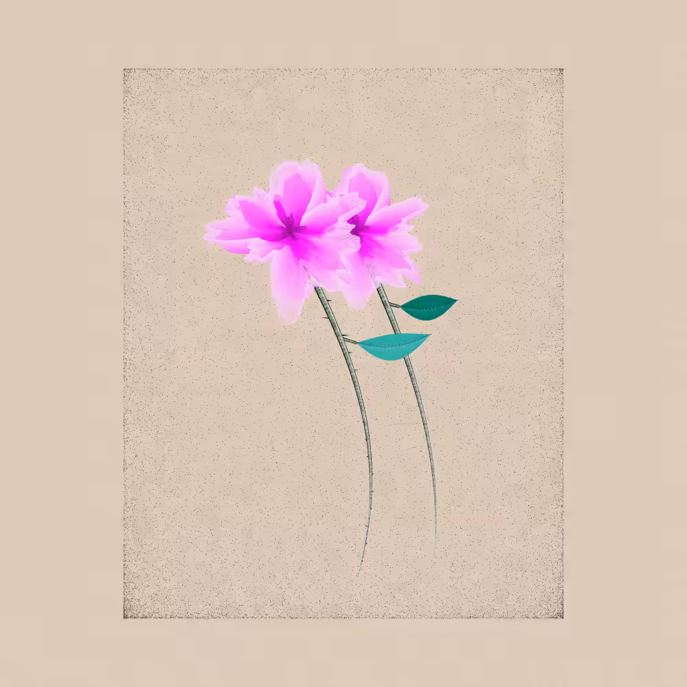 Magnolia #1