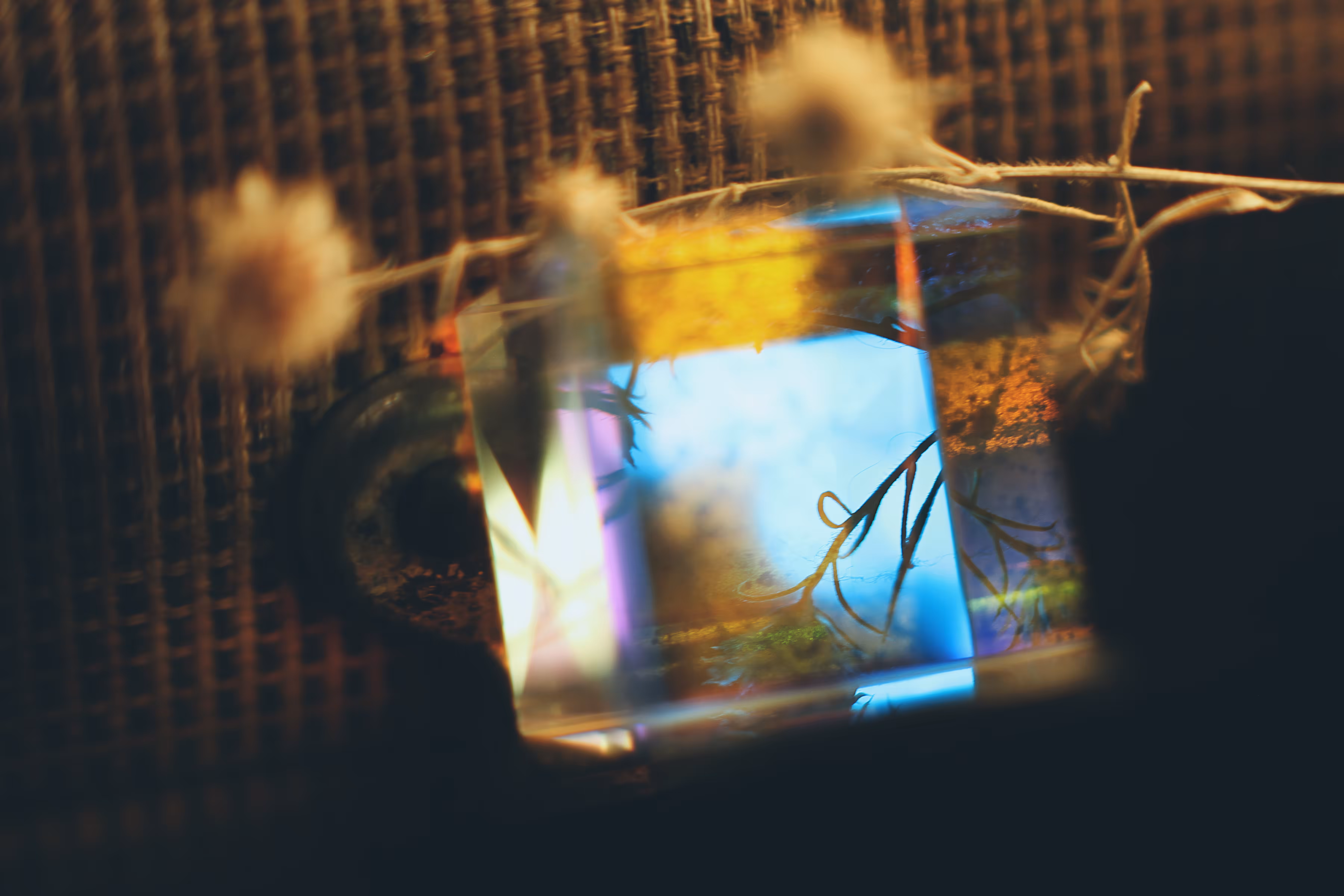 _magic mirror