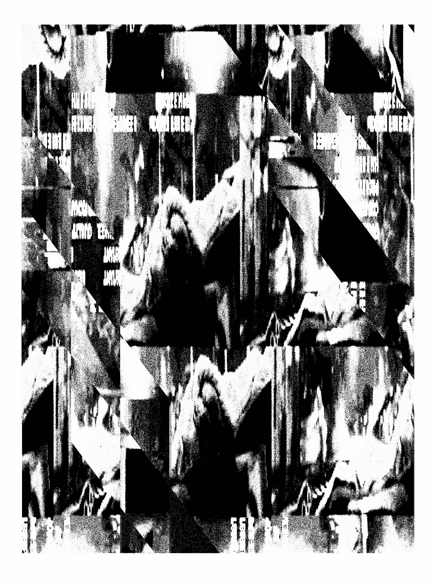 Echo, No Resonance #103