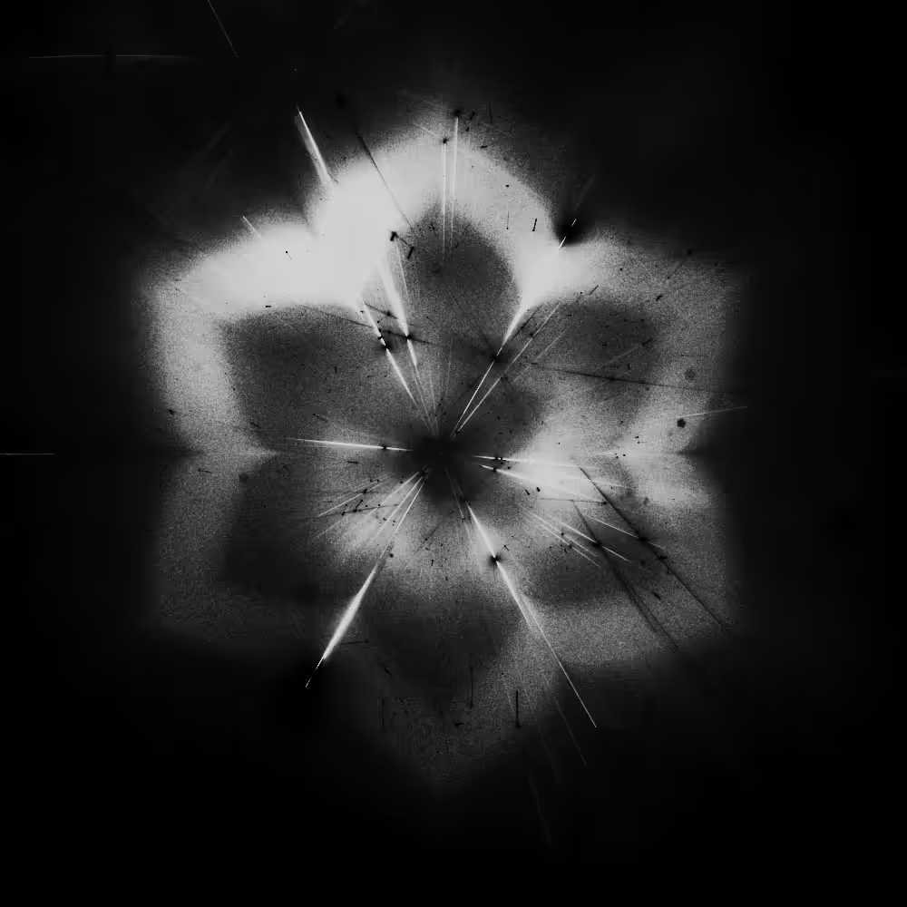 ✿ ƒļöŵëŕş ⅰⅰⅰ