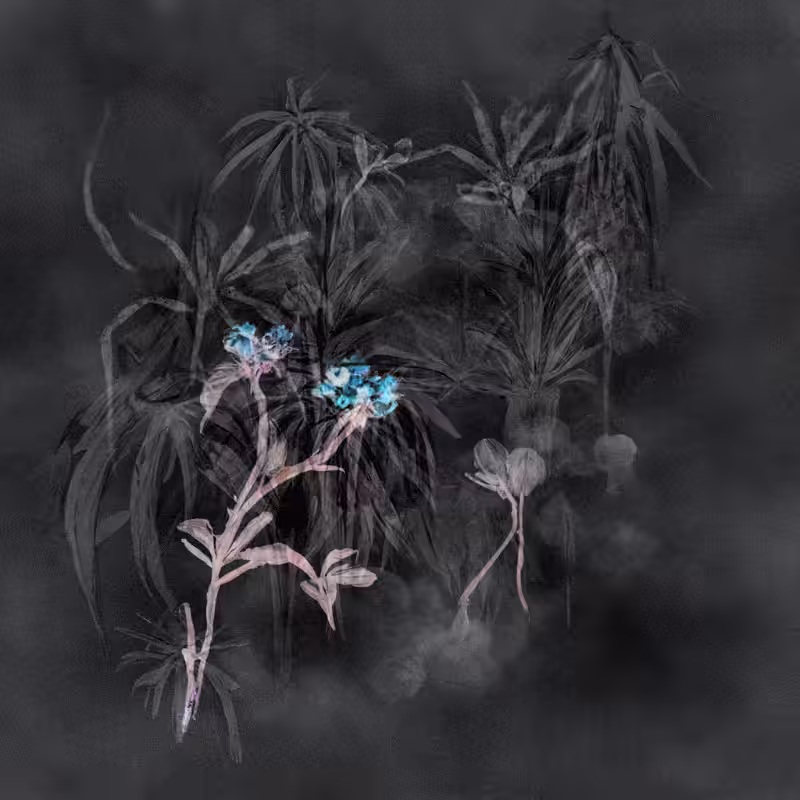Hauntological Herbarium #17