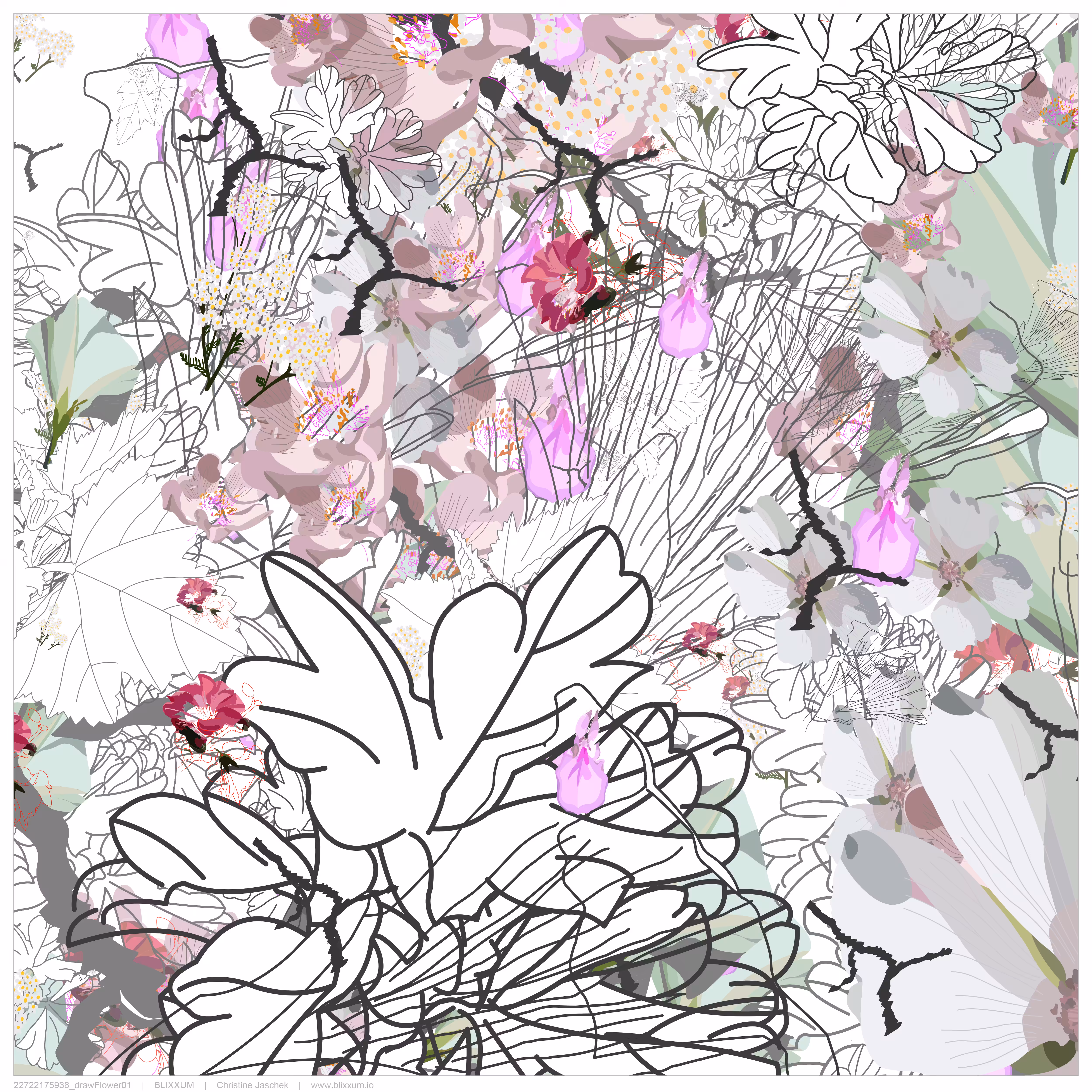 drawFlower01