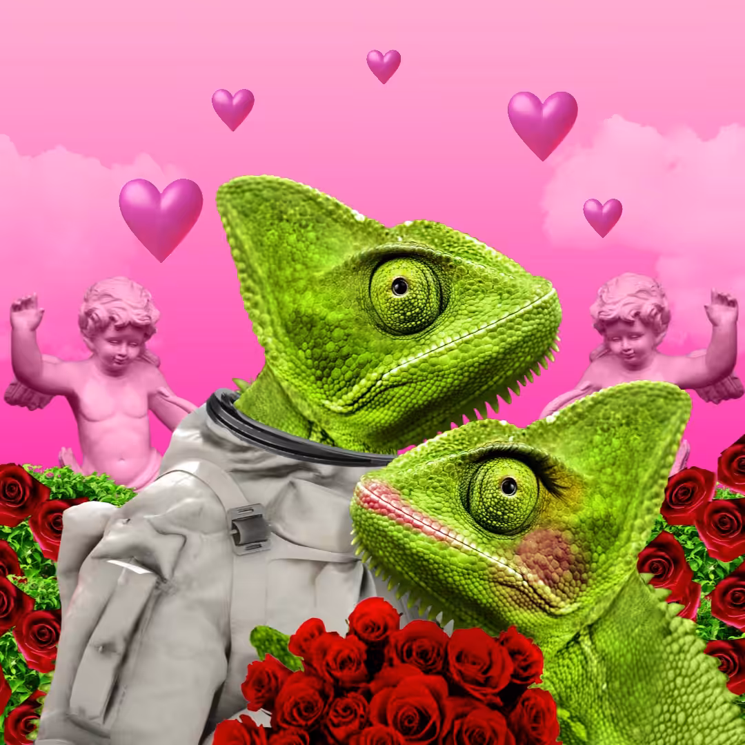 Chamelazy (Valentine's Day)