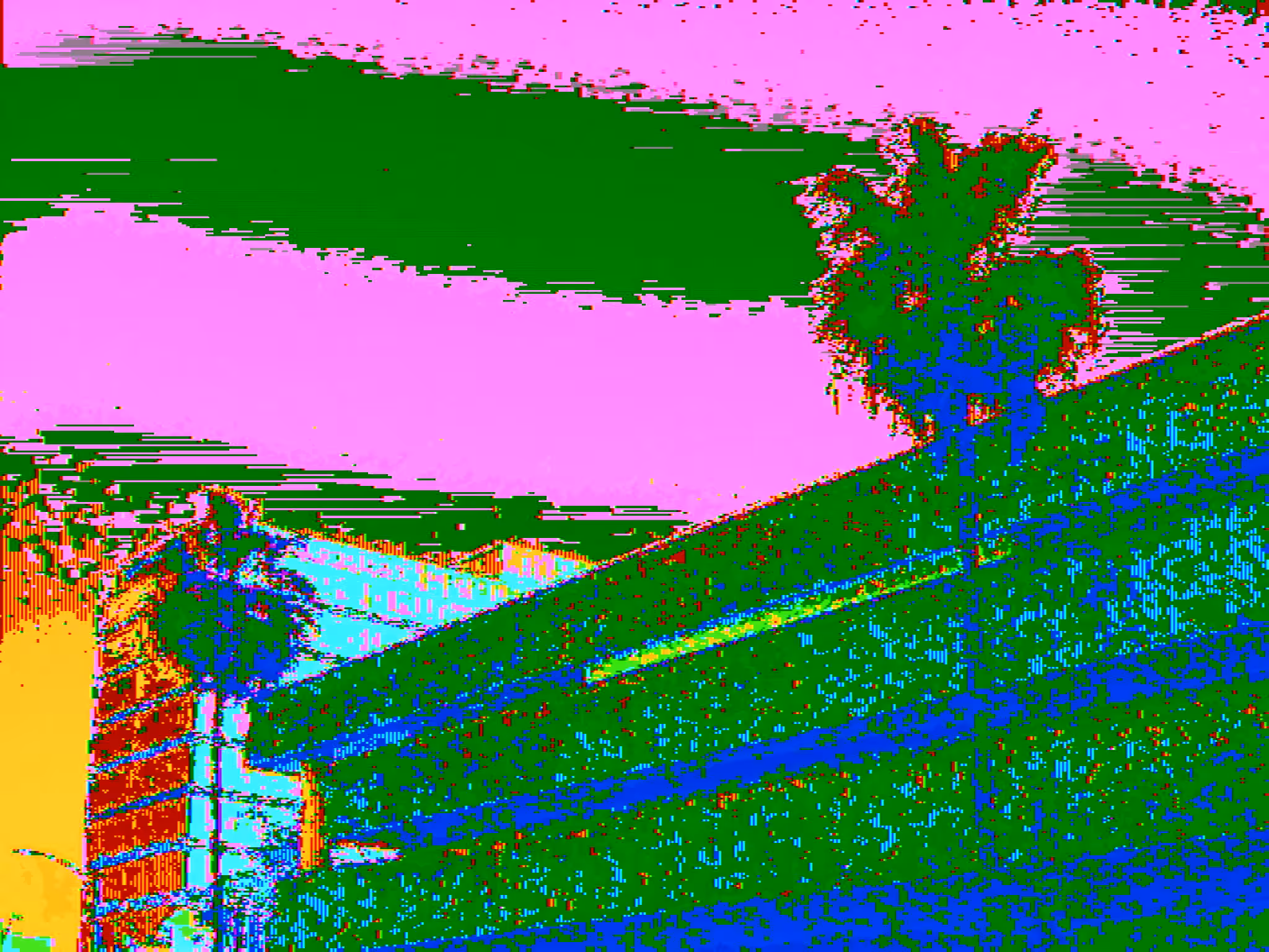 Twin Palms