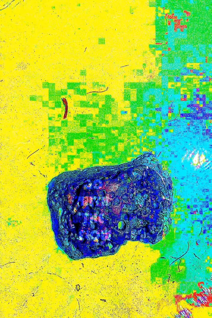 Go With The Flow