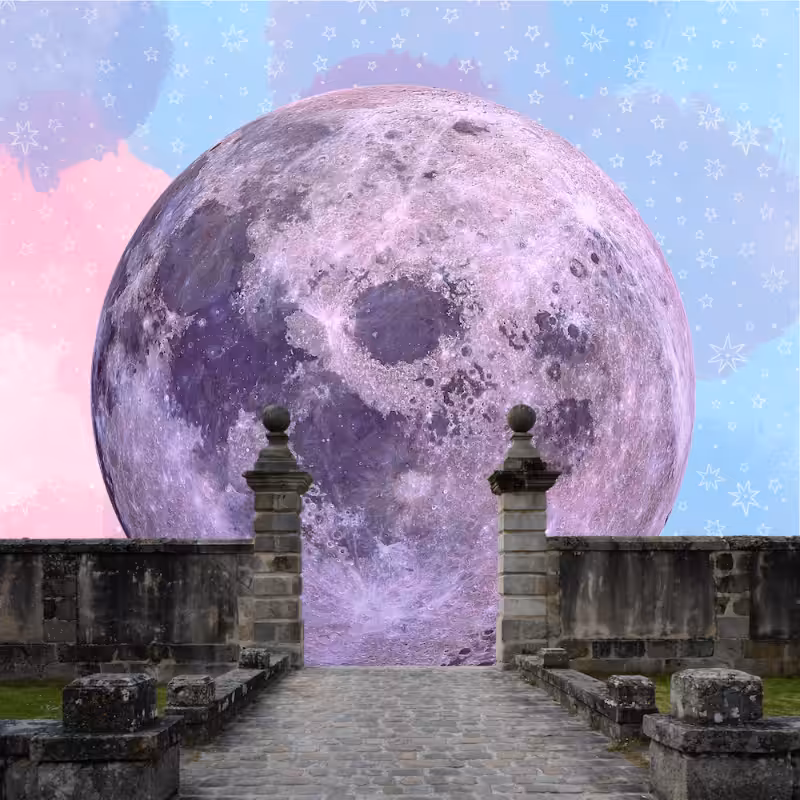 Pink Moon #19