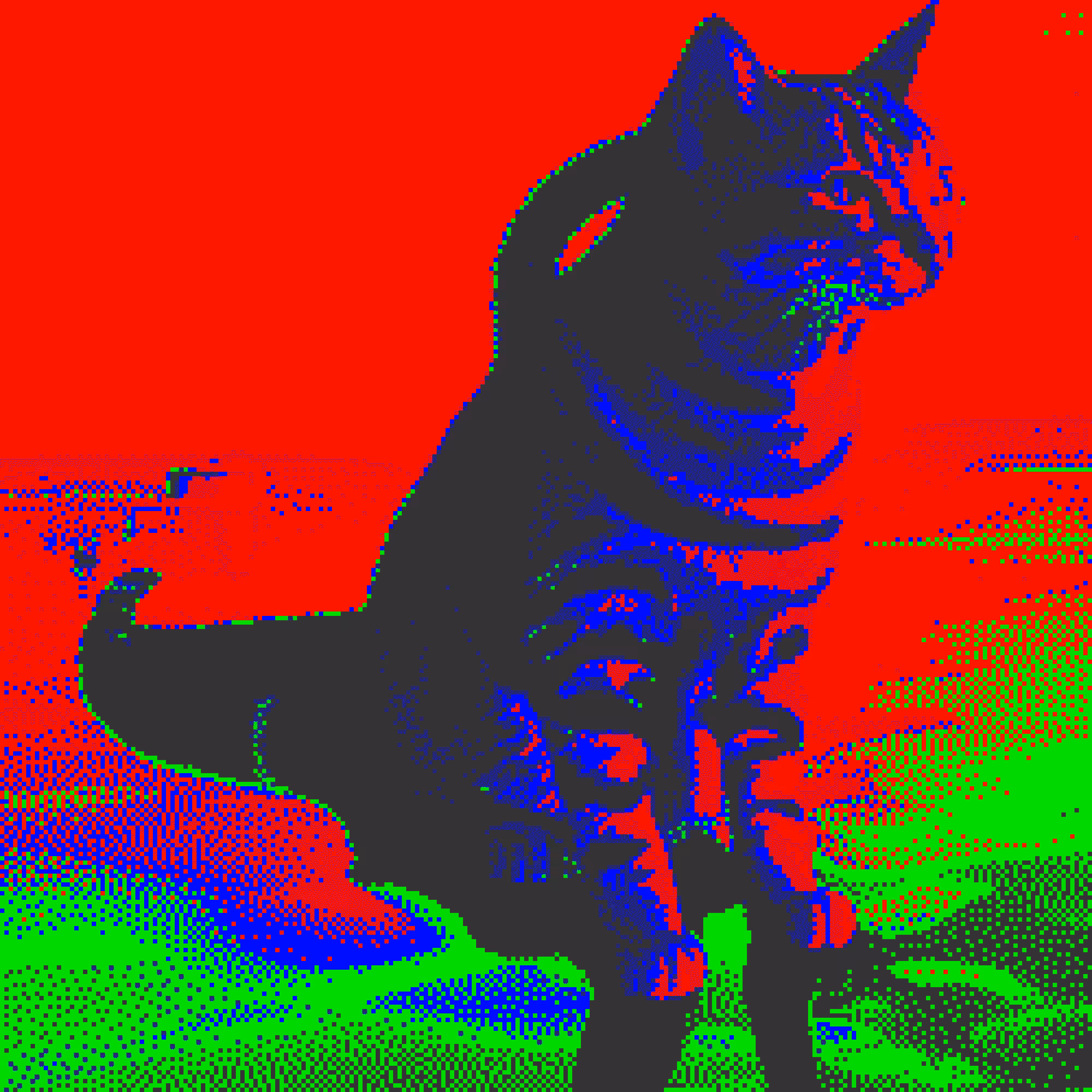 future plans cat