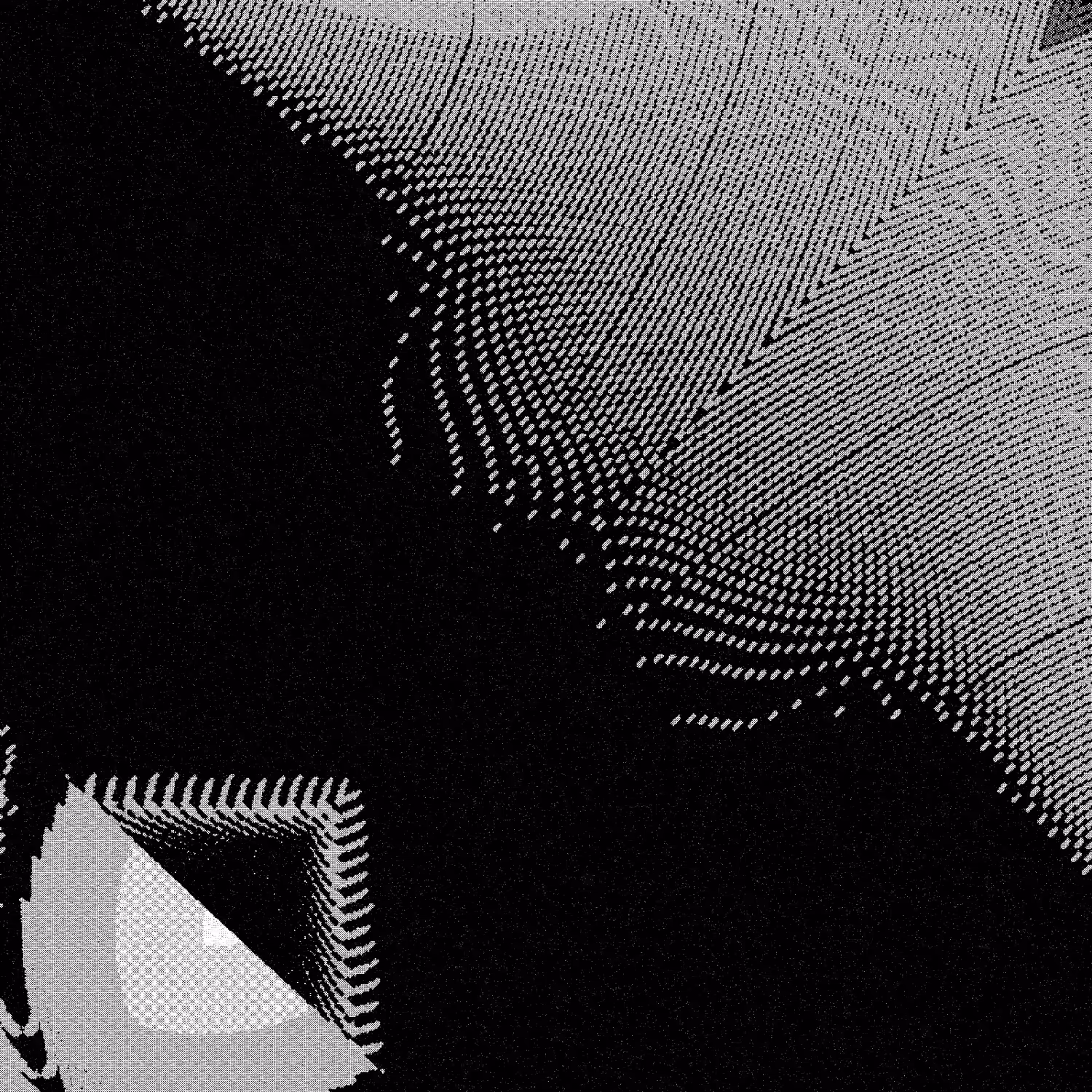 Monochrome Dot Flow 2