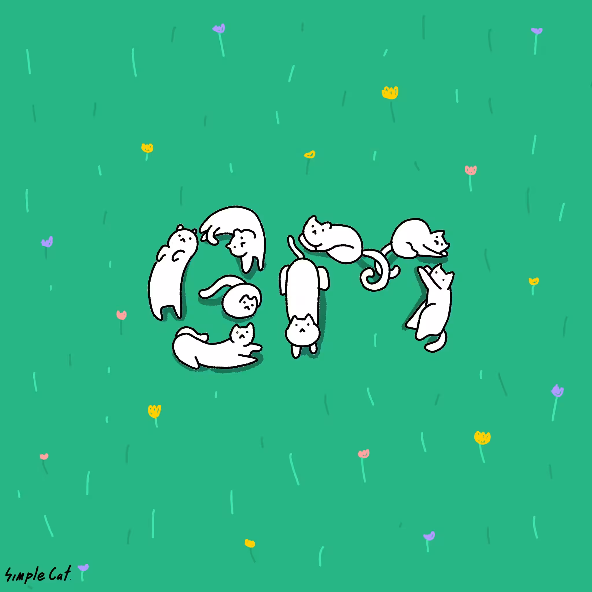 GM CAT #47