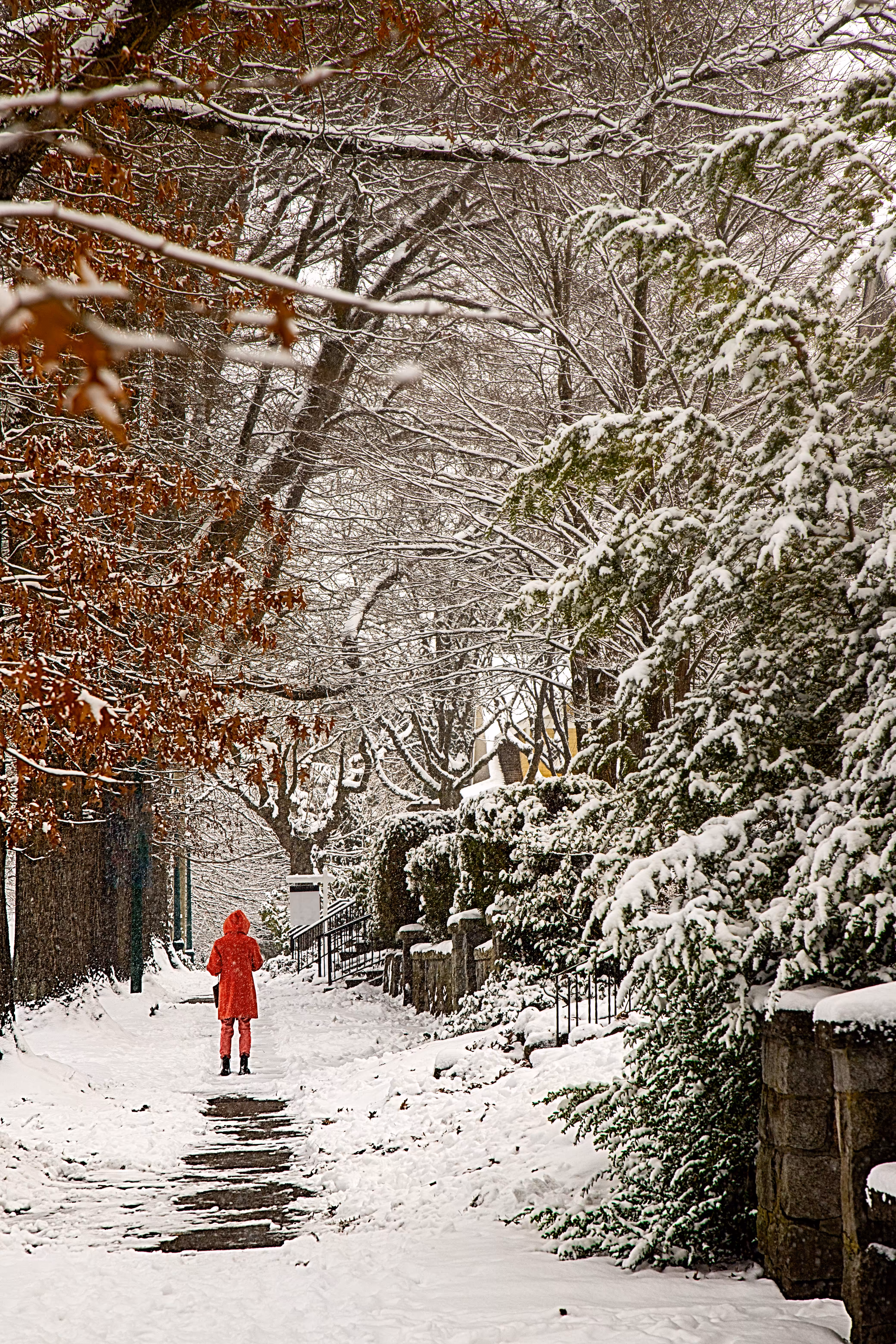 Wearing red in the snow