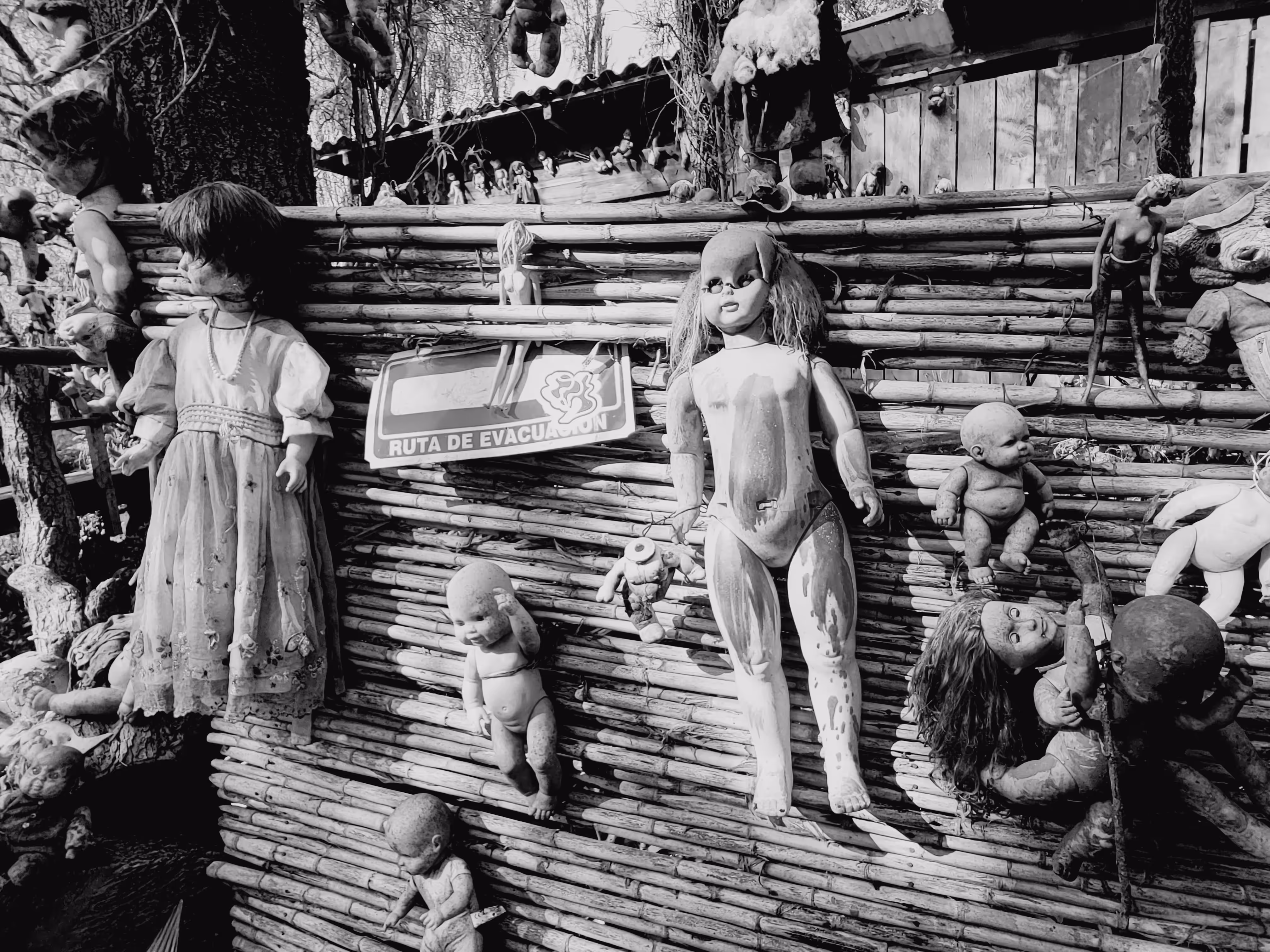 Island of the Dead Dolls