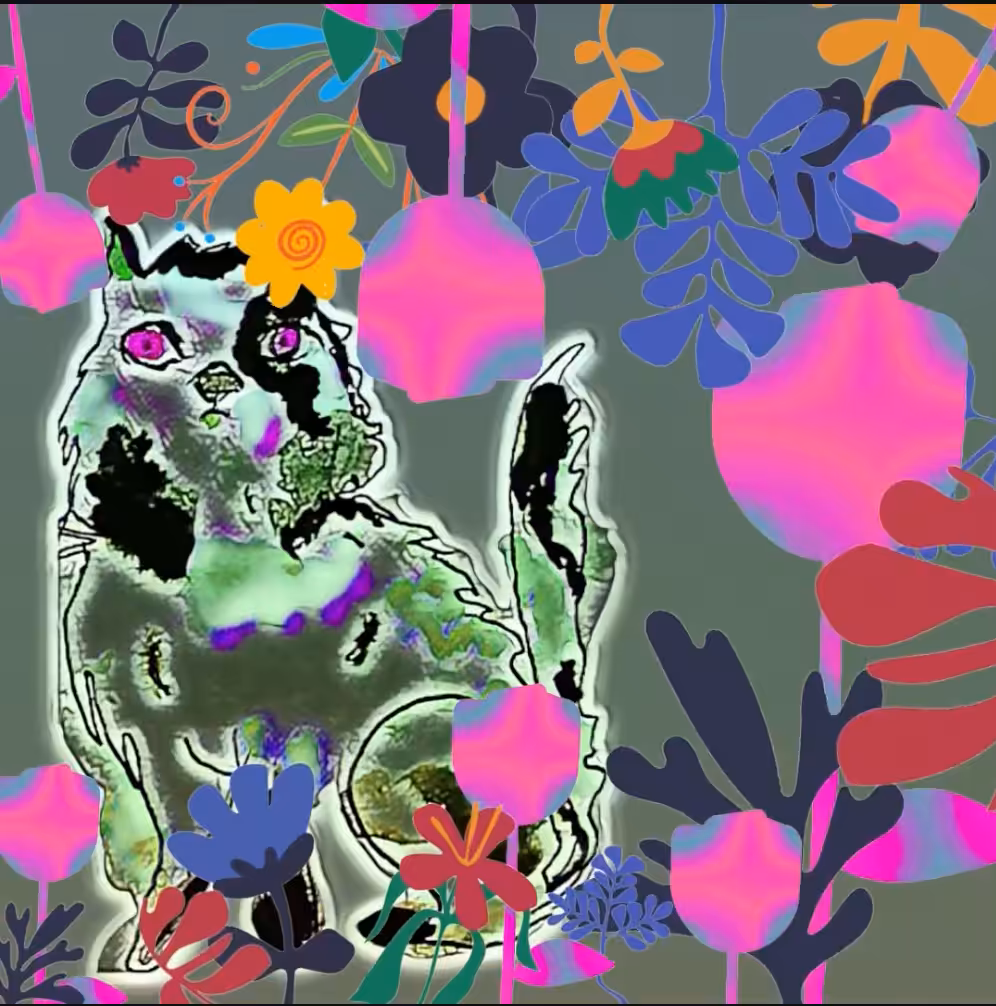 #12-Kitty Reef