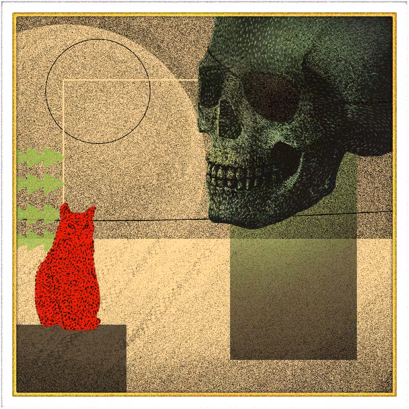 Salem #80
