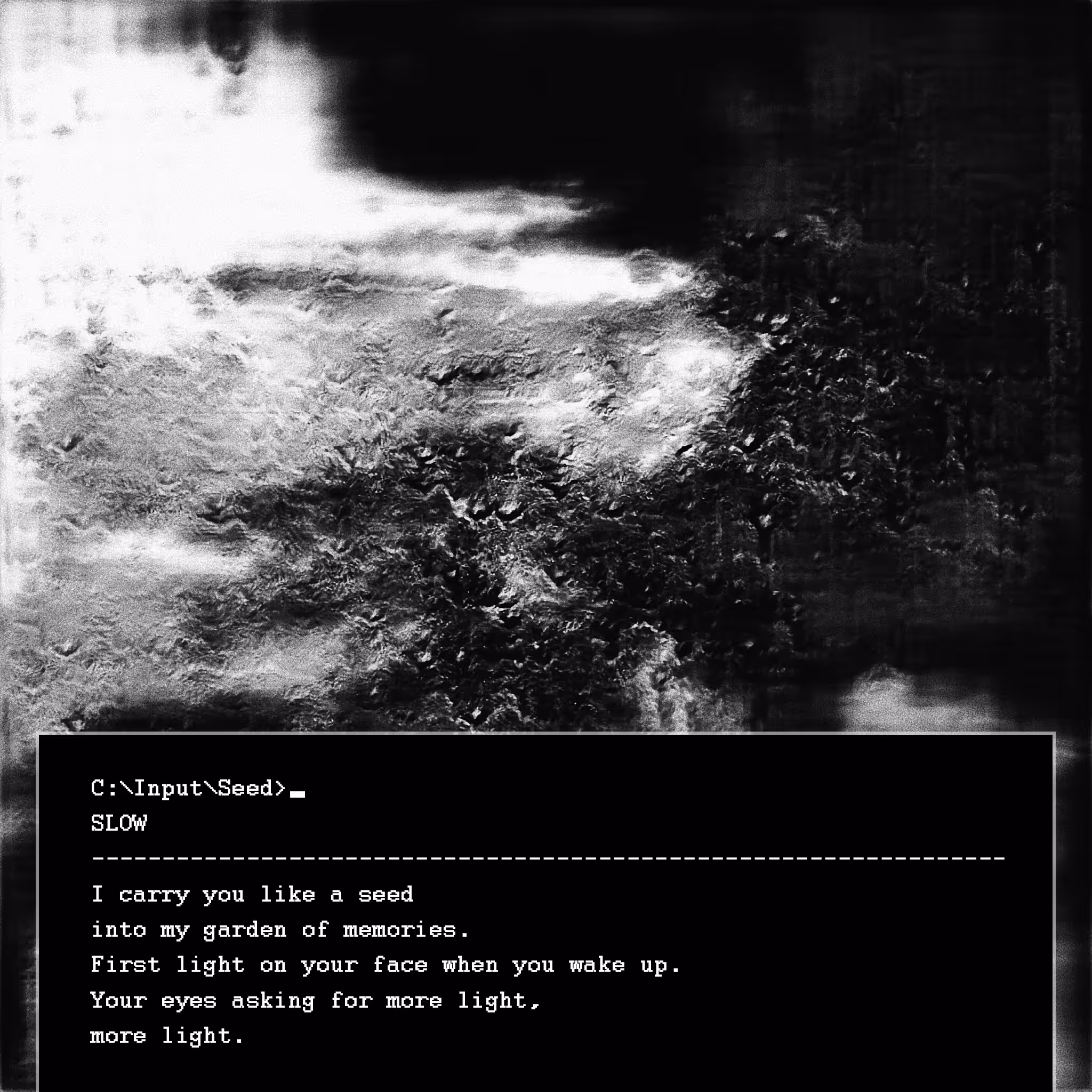 Seeds and Ashes - 3. slow
