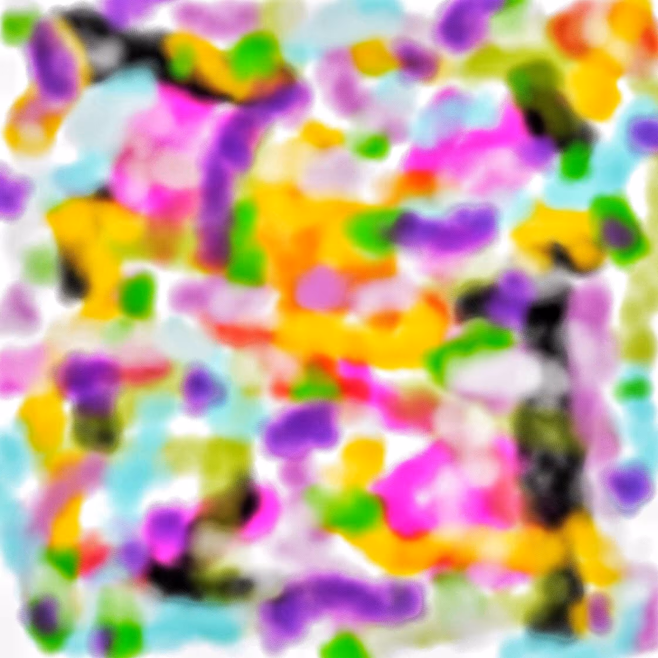 untitled 03
