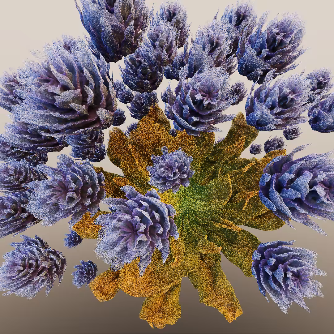 rosarium #76