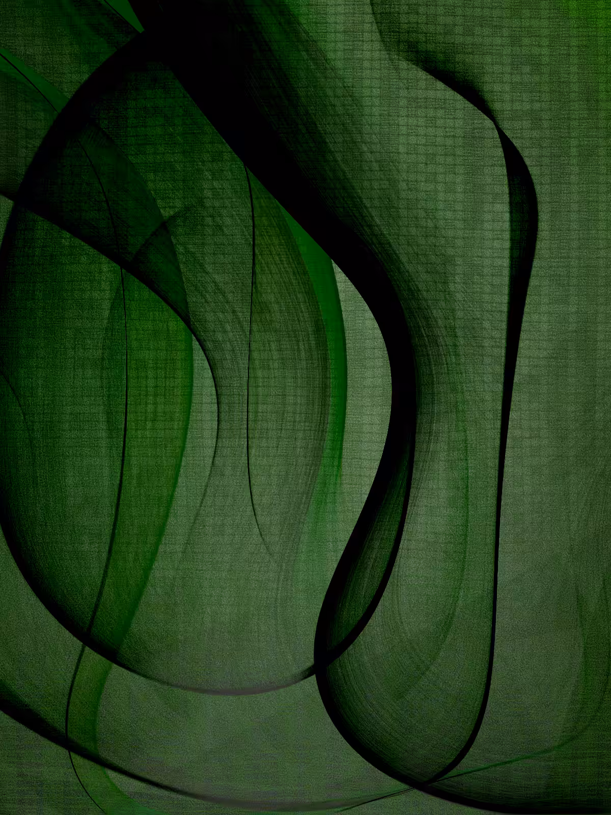 Veils of Perception #19