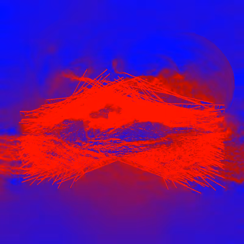 xxf #75