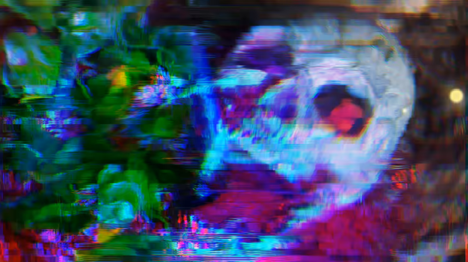Broken Wilderness
